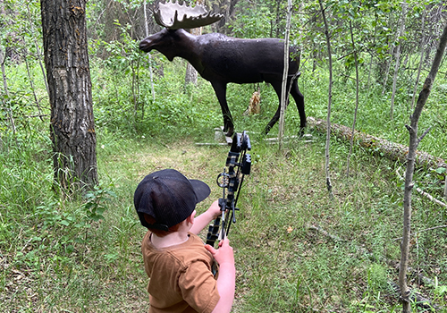 3d-archery-ma-select